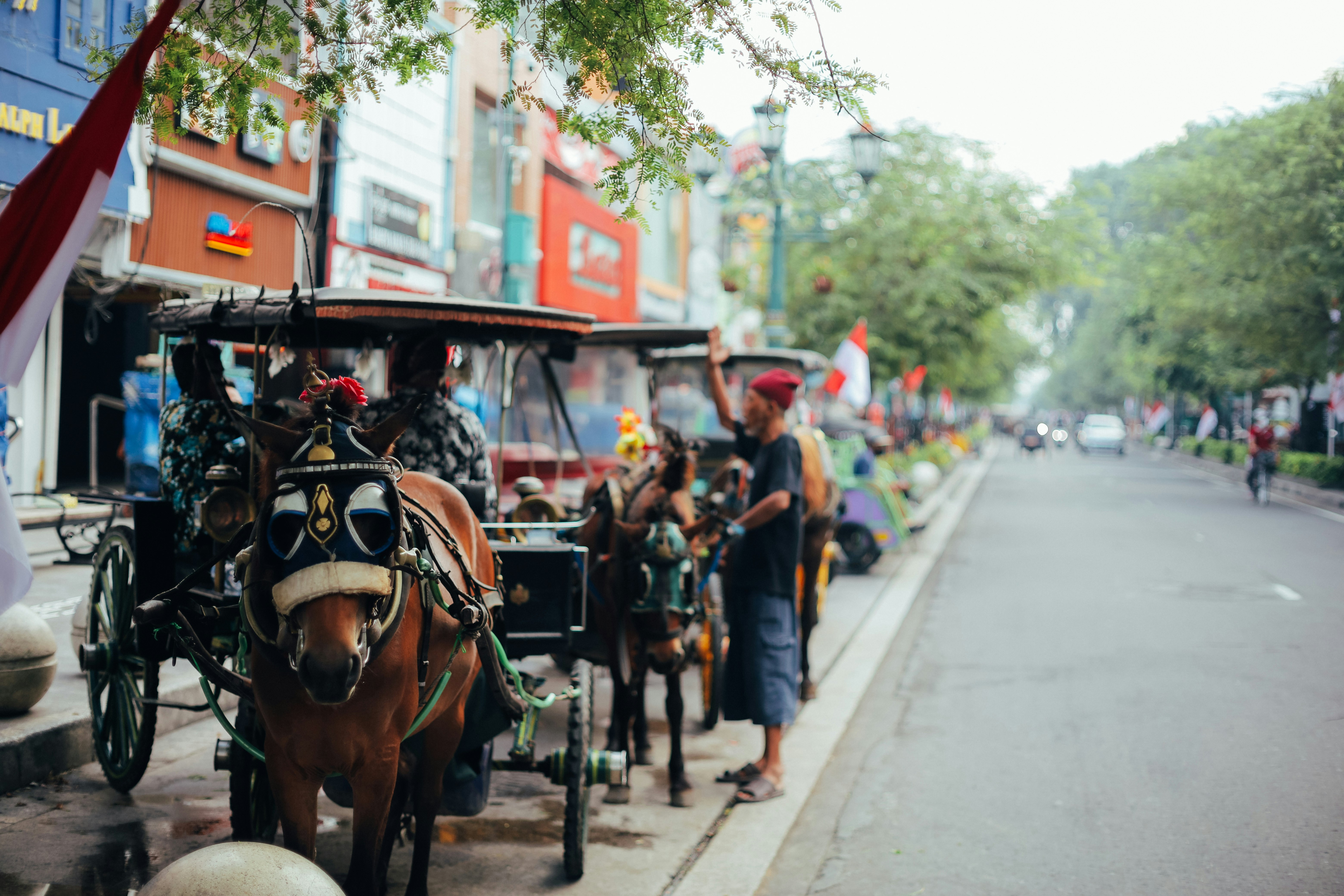 people riding horses on street during daytime